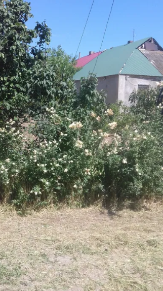 Продам дом в с.Выгода (Беляевский р-н) Вигода - фото 4