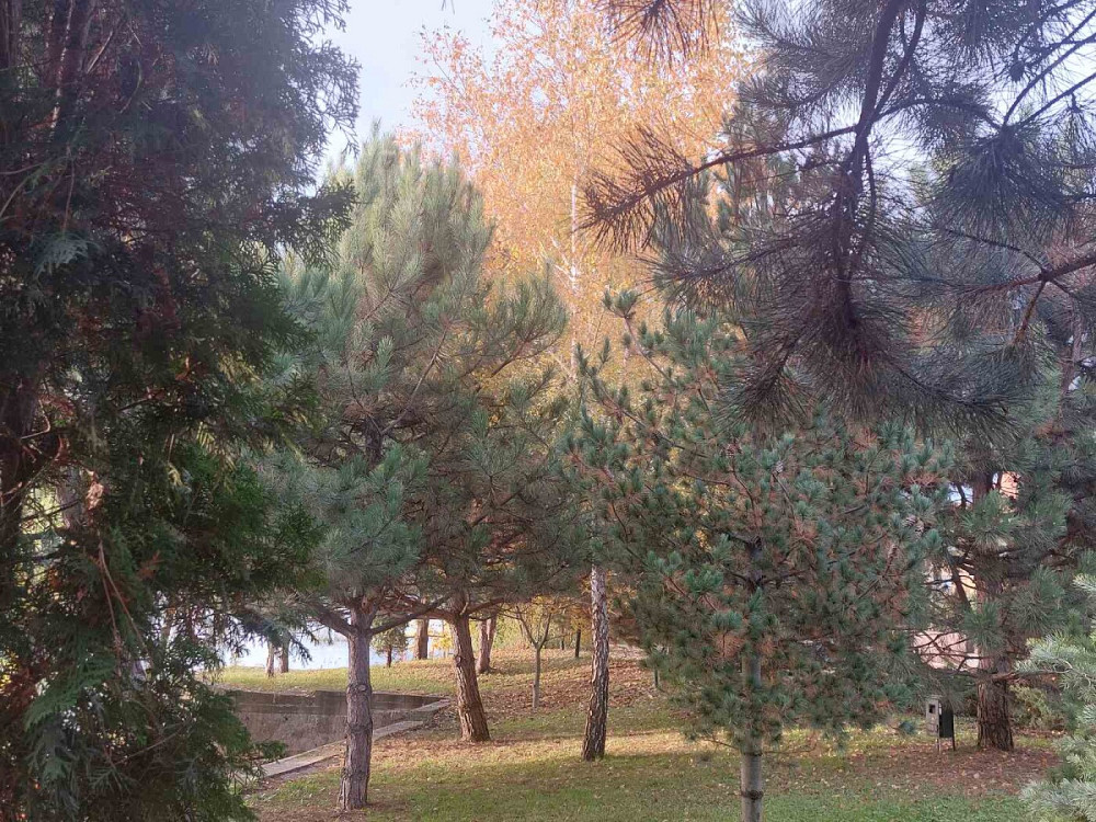 Продаж Будинок на садовое товарищество - Джерело  - изображение 17