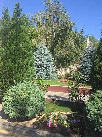 Капитальный дом, ремонт, вид на море, 20 соток в Черноморке/Золотая Горка Лиманка