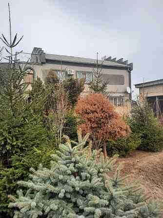 Дом - усадьба в пос. Нати на 50 сотках земли Нерубайське