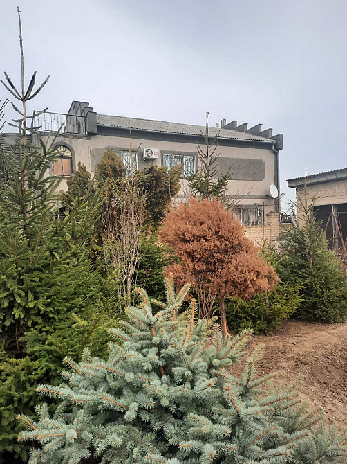 Дом - усадьба в пос. Нати на 50 сотках земли Нерубайське - фото 1