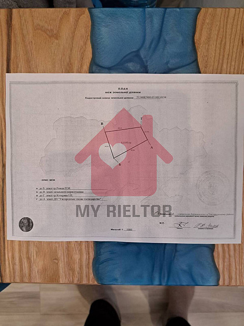 Продаж земельної ділянки 24 соток на невицька  - photo 2