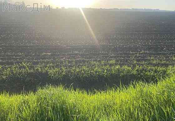 Продаж земельної ділянки 1.55 га Тернополь