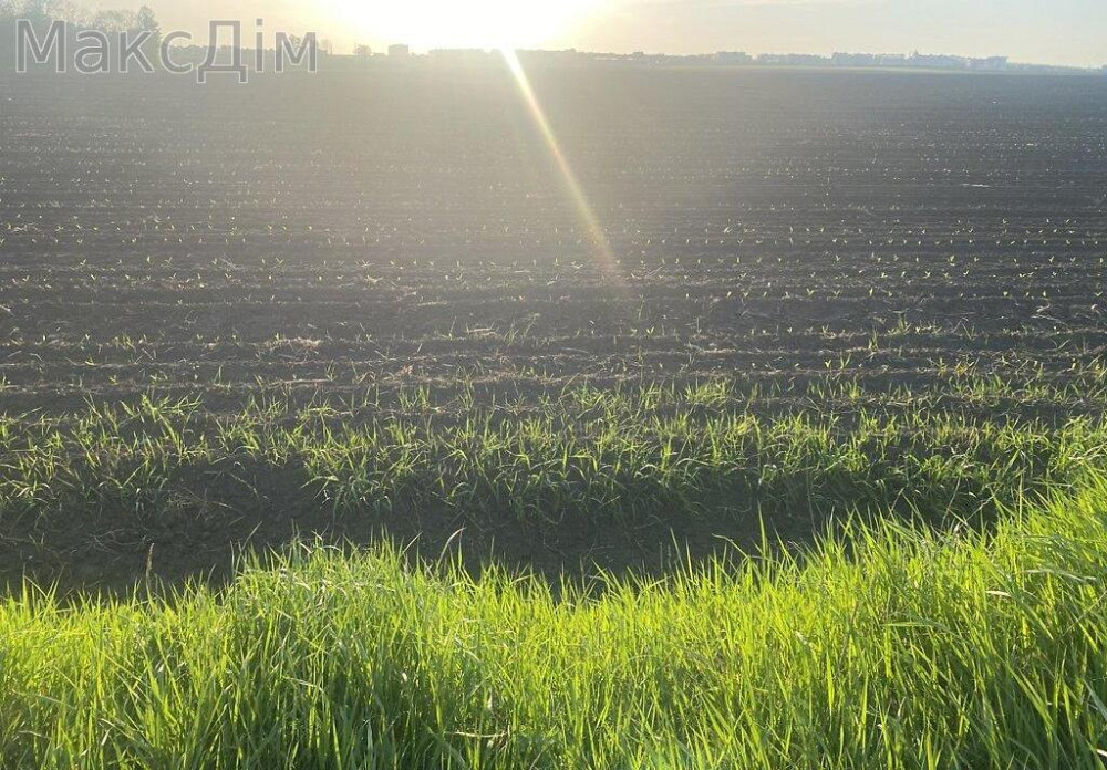 Продаж земельної ділянки 1.55 га Тернополь - изображение 6