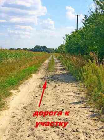 Продаж земельної ділянки 12 соток 