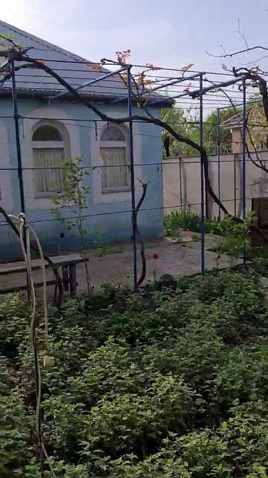 Продам дом в селе Светлое, 5 км. от Одессы Світле - фото 10