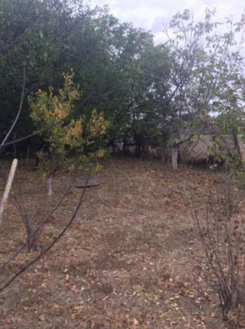 Продаж 1-поверховий Будинок з ділянкою 12 сот    Сеньківка - фото 4