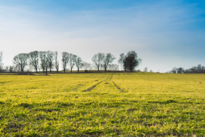 Продаж земельної ділянки 6 соток на Авангард-2, 152 Прилиманське