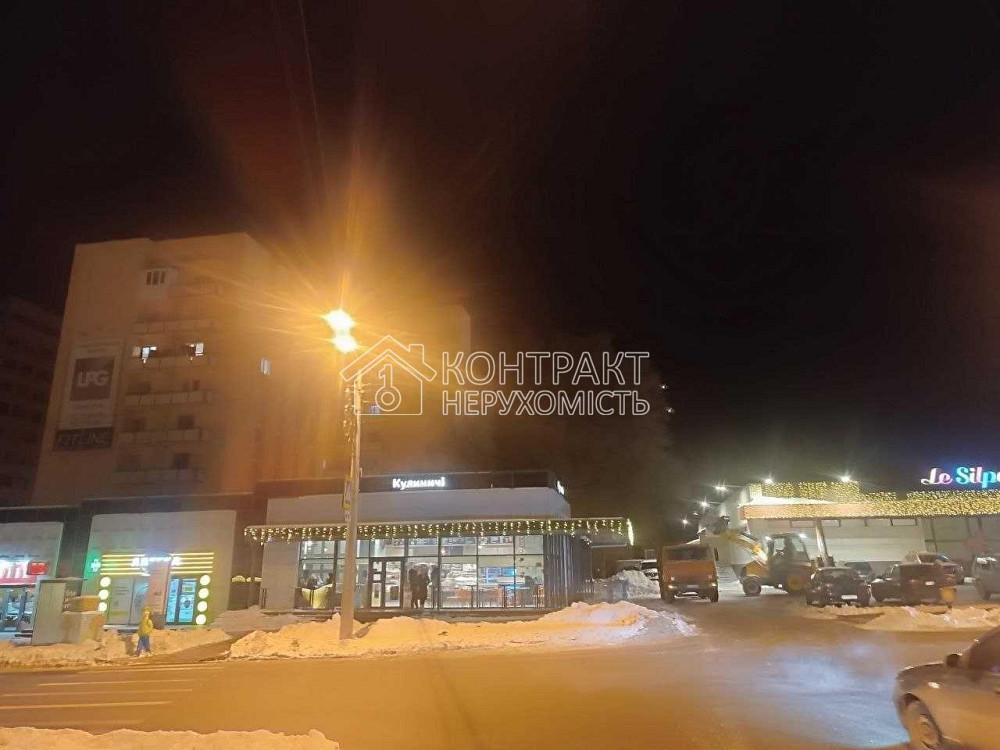 Оренда Квартира 1-кімнатна, 8/9 поверх на вул. Космічна Харків - фото 14