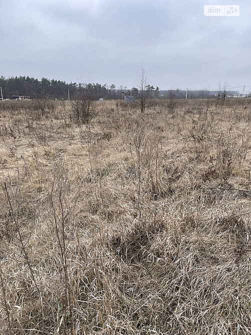 Продаж земельної ділянки 8 соток Vinnytsya - photo 5