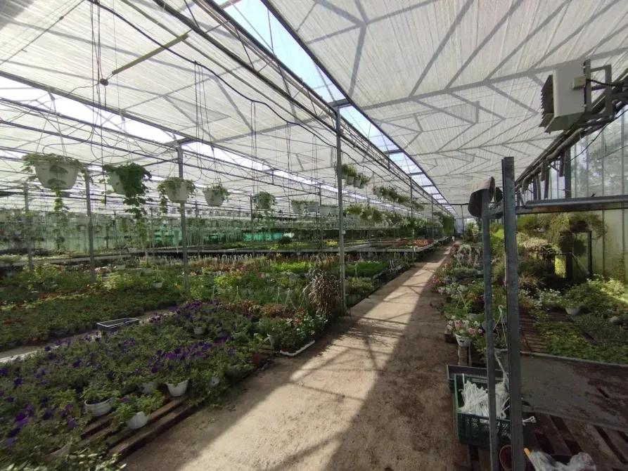 Здається Будівля / павільйон / комплекс площа 2200 кв.м Минай Патруся Карпатського Минай - фото 3