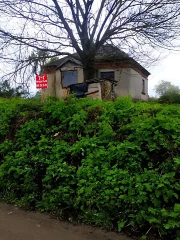 For sale land plot  area 38 ares Миру вулиця  - photo 6