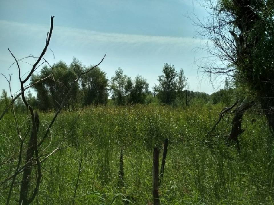 Продаж земельної ділянки на вул. Набережна, Черкаси - фото 3