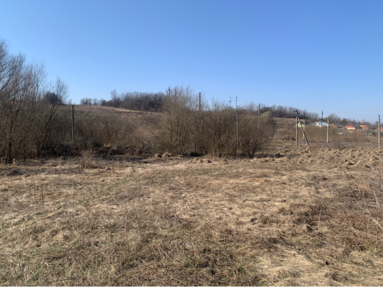 Продаж земельної ділянки Для сільськогосподарської діяльності площа 20 сот Тараса Шевченка Дроговиж