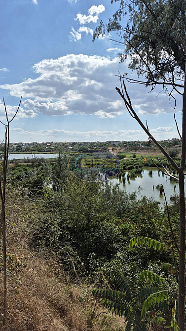 Продаж земельної ділянки 47 соток на вул. Чорноморців Sukhyi Lyman - photo 5