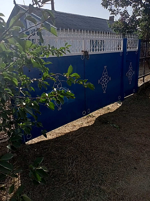 Предлагаем к продаже  дома в Троицком Новотроїцьке (Любашівський район) - фото 9