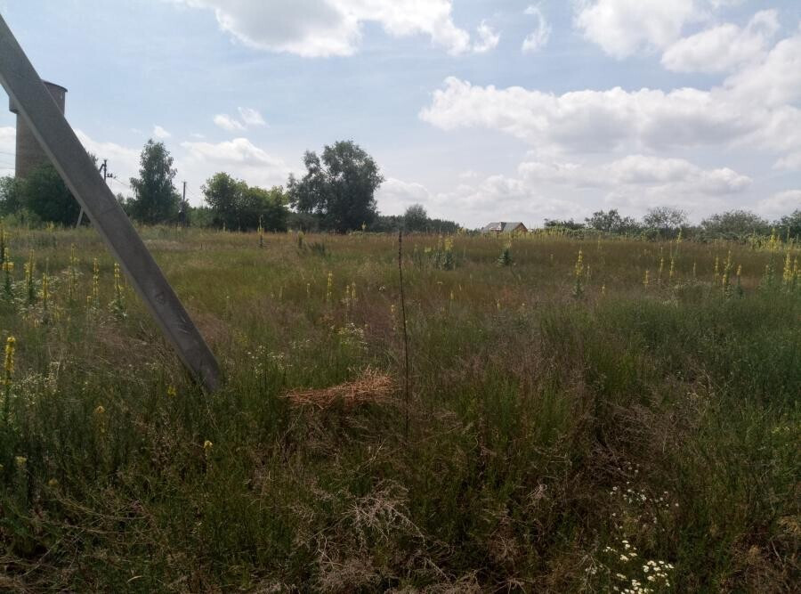 Продаж земельної ділянки 25 соток на улица Весенняя, д.  - изображение 6