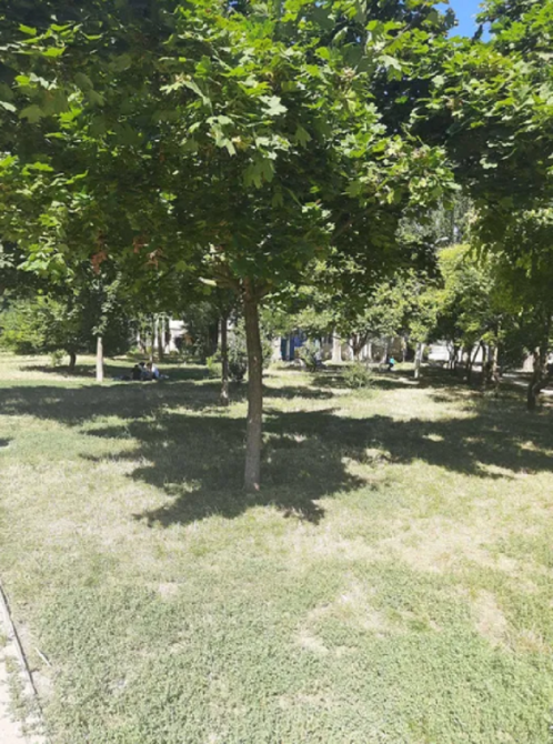 3-х кімнатна квартира під ремонт 63 м2, Таїрове, пр-кт Небесної сотні Odessa - photo 7