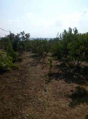 Продаж земельної ділянки 0.1 соток на СТ Межлиманье ( ул. Тенистая), 475 Протопопівка