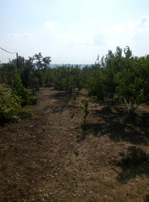 Продаж земельної ділянки 0.1 соток на СТ Межлиманье ( ул. Тенистая), 475 Протопопівка - фото 3