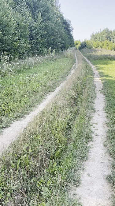 Продаж земельної ділянки 25 соток на Щорса Verbovets - photo 6