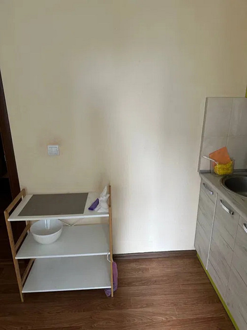 Оренда Квартира 1-кімнатна, 9/25 поверх на Бориса Гмирі, 12б Kiev - photo 3