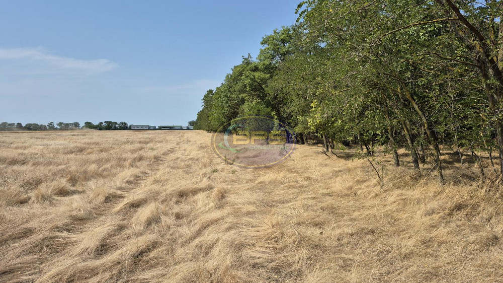 Продаж земельної ділянки 2.8 га на вул. масив 20, ділянка 296/2 Нерубайське - фото 1