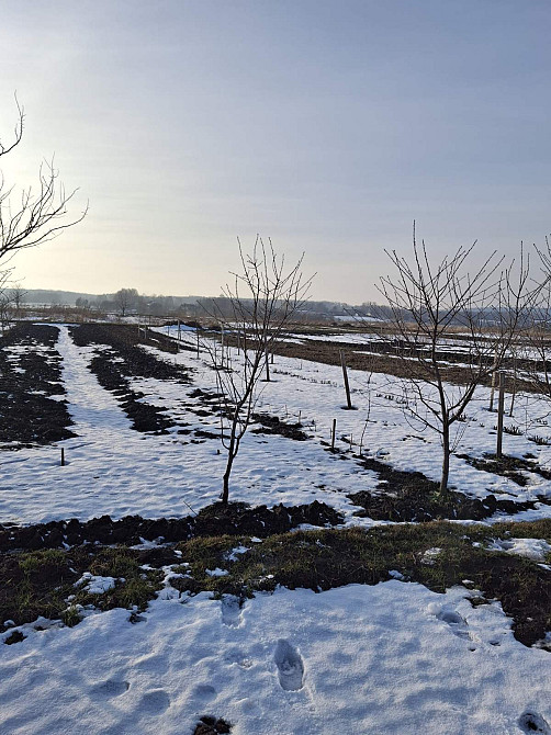 Продаж земельної ділянки 8 соток на вул. Сивулька Почаїв - фото 5