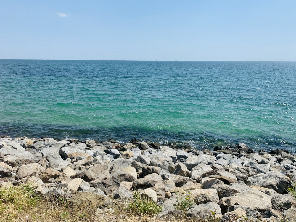 Продаж земельної ділянки 25 соток Odessa - photo 8