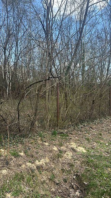 Продаж земельної ділянки 5 соток  - фото 3