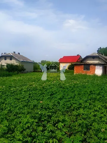 Продаж земельної ділянки  площа 21.4 сот Микулинецька вулиця 24 Велика Березовиця - фото 3