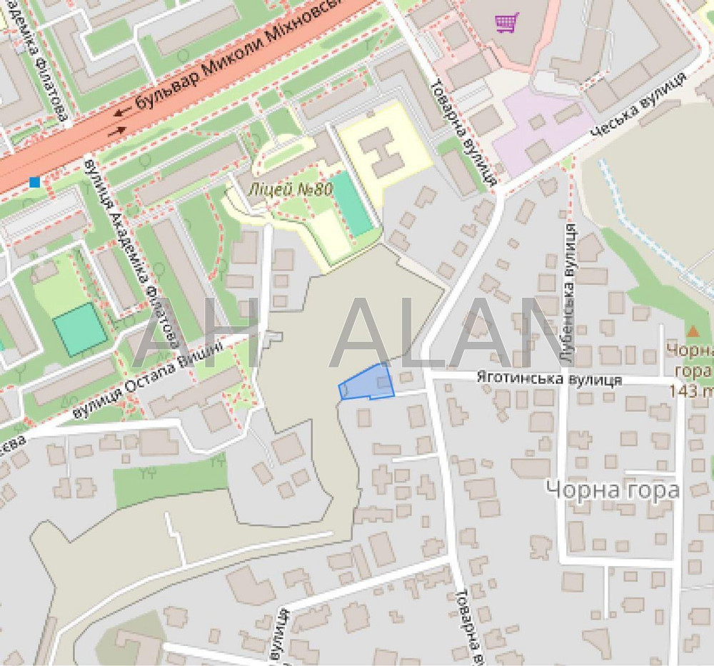 Продаж Будинок на Товарна вул., 14 Kiev - photo 1