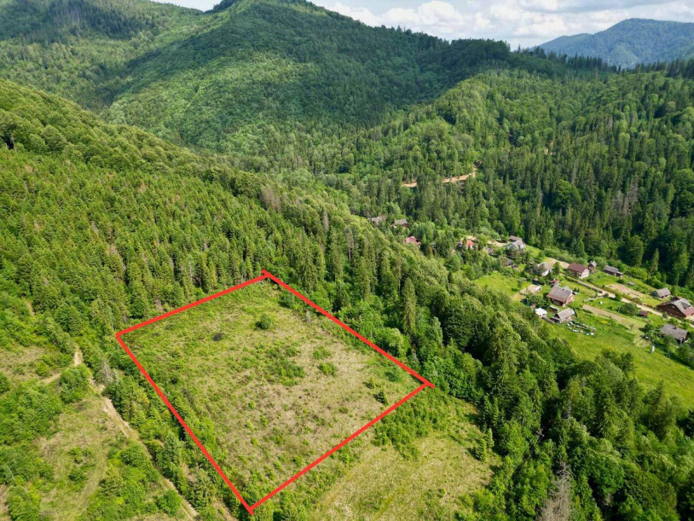 Продаж земельної ділянки 59 соток Hrebeniv - photo 1