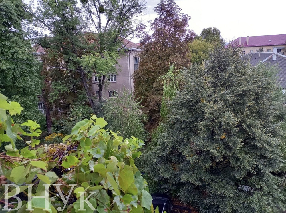 Продаж Квартира 3-кімнатна, 4/4 поверх на Ковача Вілмоша Uzhhorod - photo 1