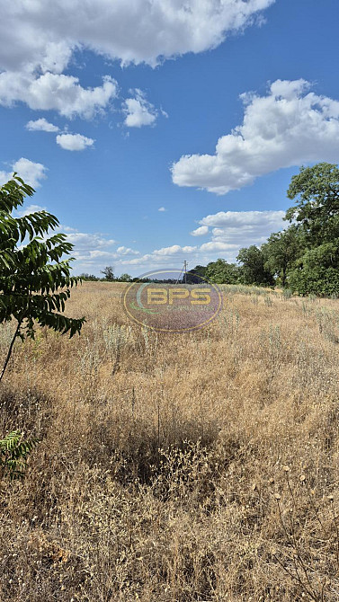 Продаж земельної ділянки 3.64 га Прилиманське - фото 4