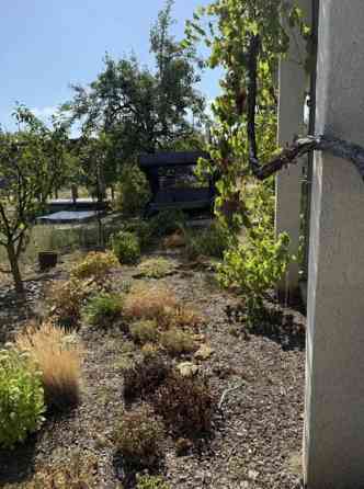 Продам дом-дачу в Алтестово Алтестове