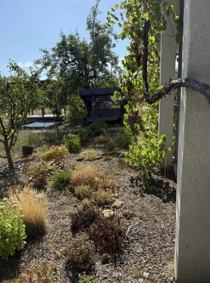 Продам дом-дачу в Алтестово Алтестове - фото 3