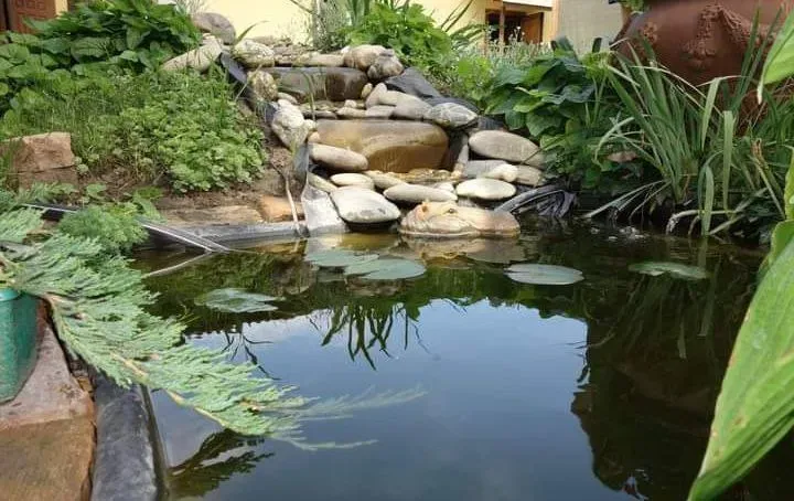 382 House for rent with swimming pool Kiev - photo 15