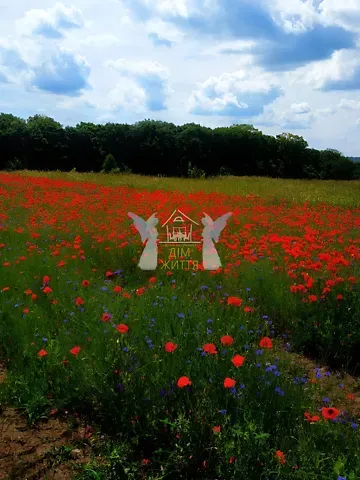 Продажа земельного участка  площадь 26 сот Тернопільська вулиця  - изображение 11