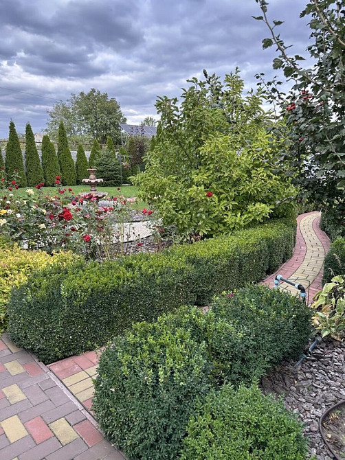 Продаж Будинок Олександрія - фото 16