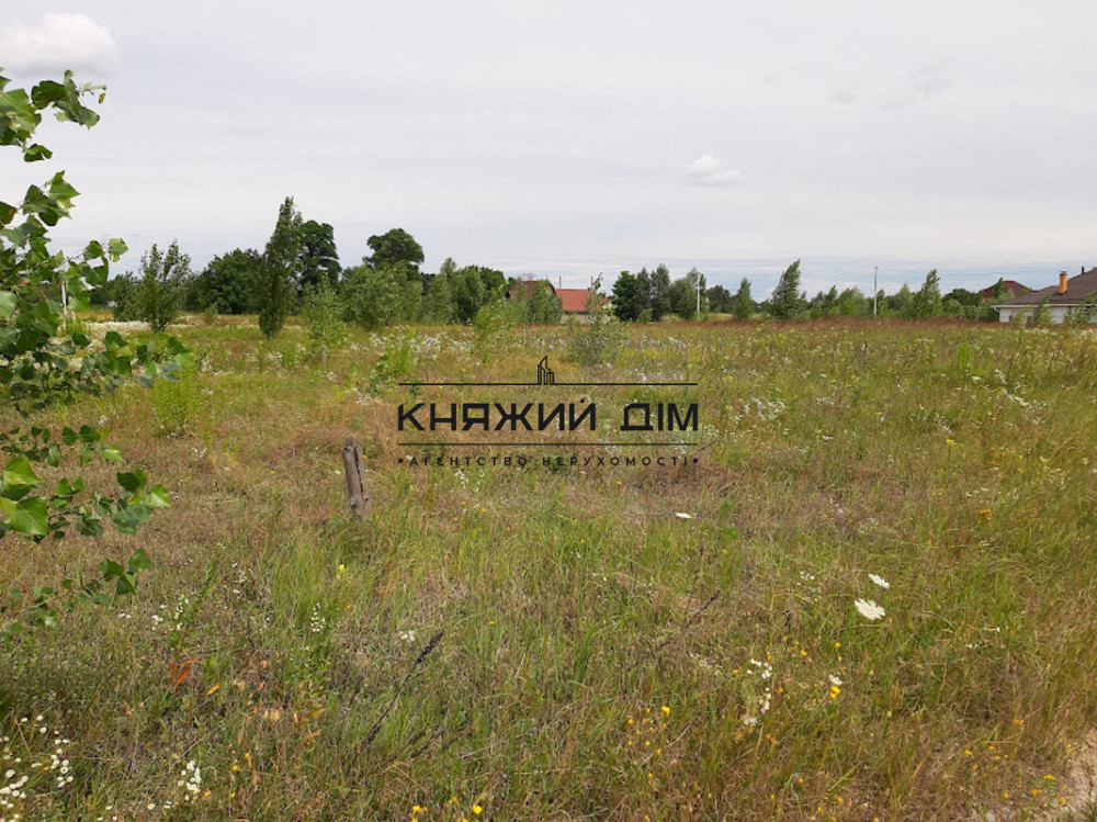 Продаж земельної ділянки 20 соток  - фото 4