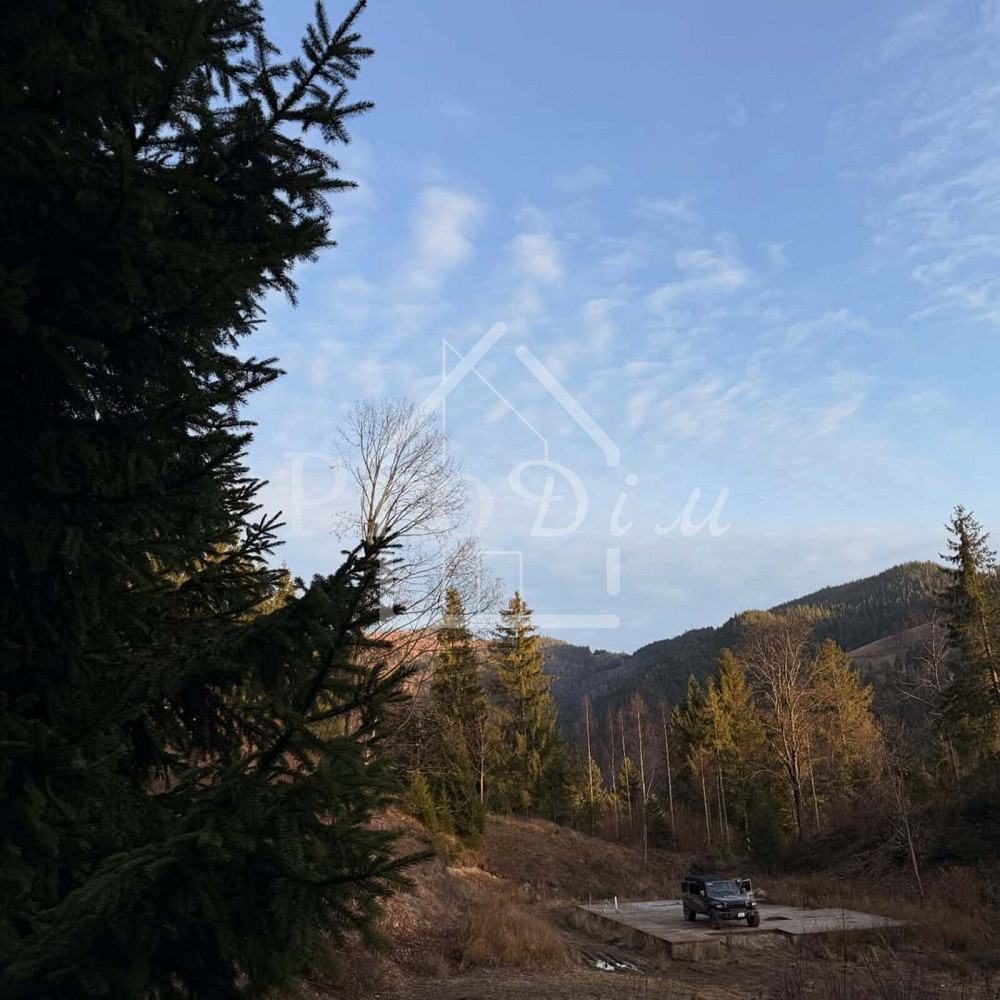 Продаж земельної ділянки 80 соток на Довга Верхній Ясенів - фото 20