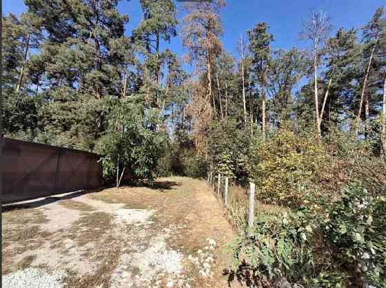 Продаж земельної ділянки 21 соток на садовое товарищество - Бытовик Обухов