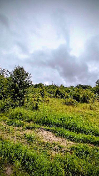 Продаж земельної ділянки 14 соток на урочище за плотами  - photo 8