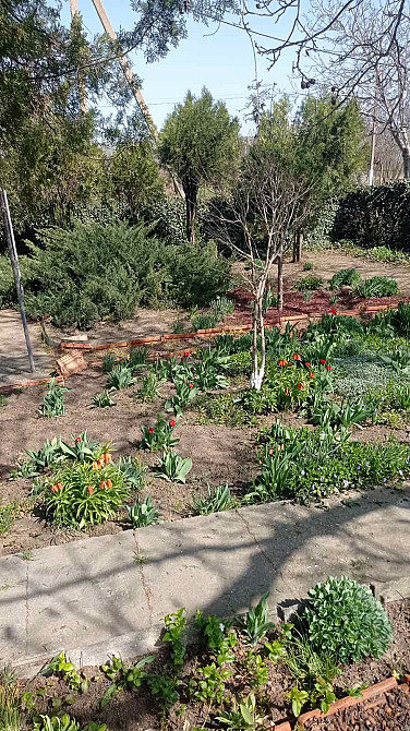 Продаж земельної ділянки 0 соток на ул. Тупиковый 1-й пер, 15 Одесса - изображение 10