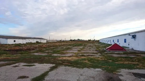 Продаж Виробниче або промислове приміщення площа 3070 кв.м 1-й поверх на MMGR+9F, Петриківський район, Дніпропетровська область, 51830 Лобойківка