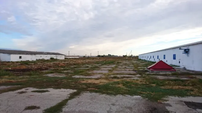 Продаж Виробниче або промислове приміщення площа 3070 кв.м 1-й поверх на MMGR+9F, Петриківський район, Дніпропетровська область, 51830 Лобойківка - фото 3