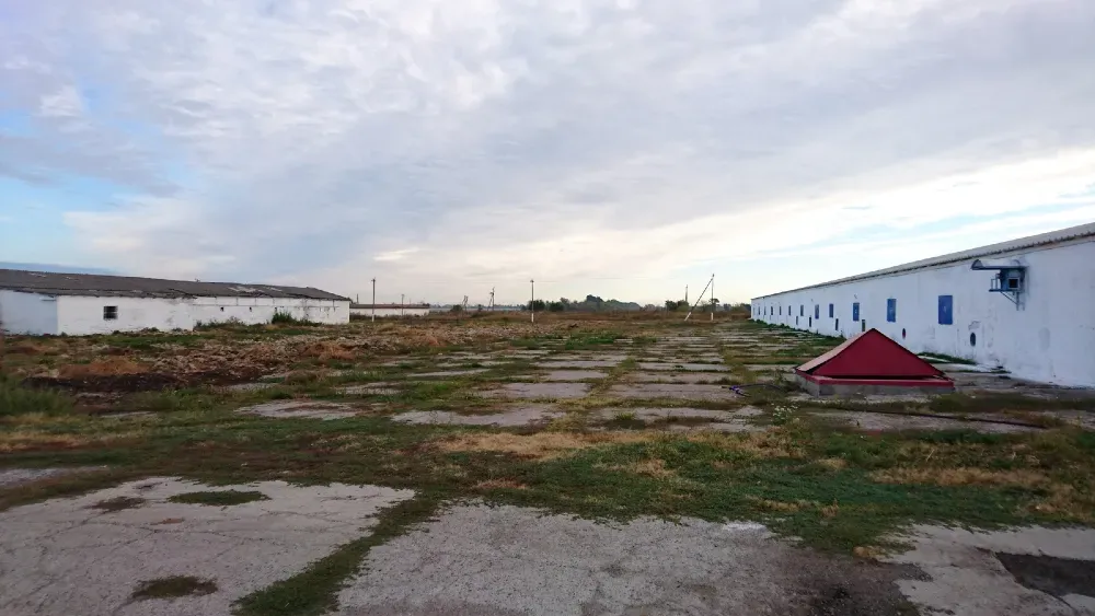 For sale Production Or Industrial Premises area 3070 sq.m floor 1 at MMGR+9F, Петриківський район, Дніпропетровська область, 51830 Loboikivka - photo 3