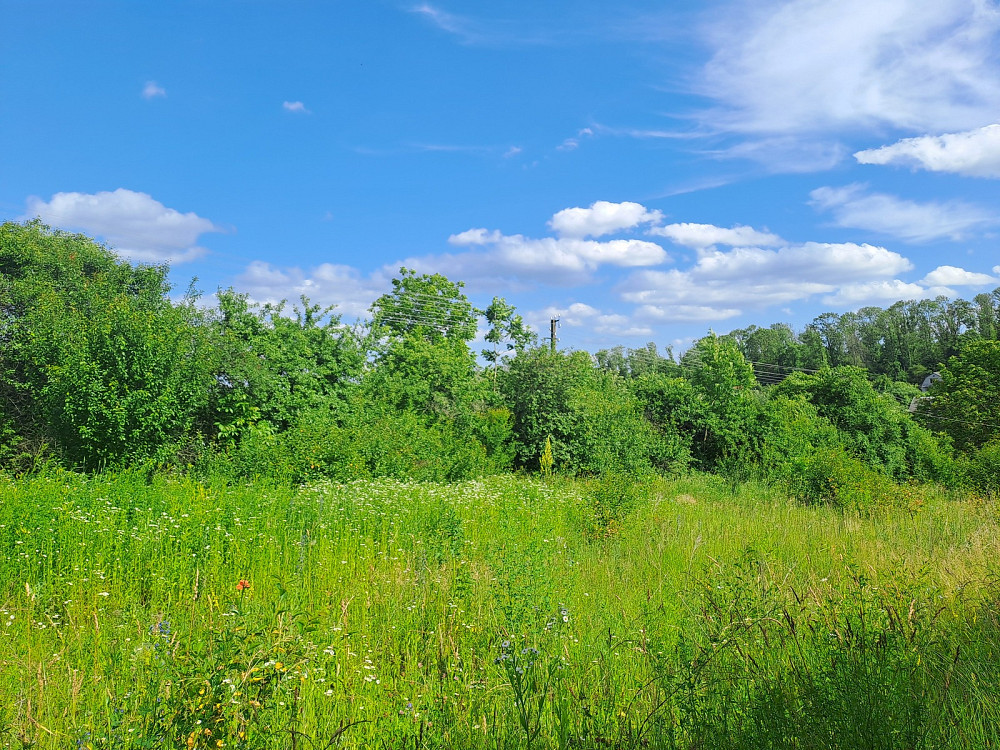 Продаж земельної ділянки 11 соток Pidhorodne - photo 9