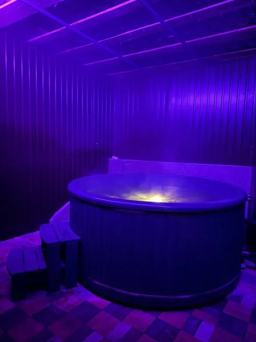 210 Cozy cottage for a holiday for rent with a swimming pool Kiev - photo 2